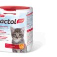 Сухе молоко Beaphar LACTOL для кошенят