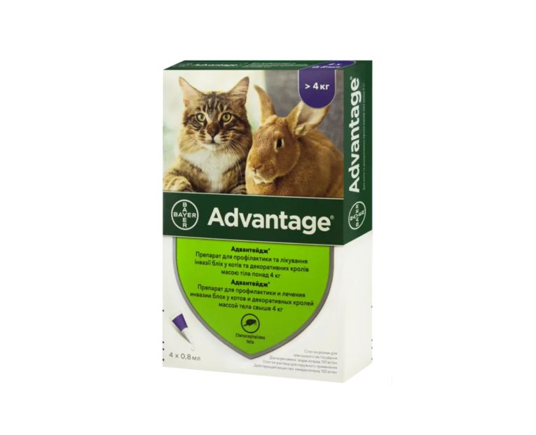 Краплі Bayer Advantage Адвантейдж 80 для котів 4-8кг (1 піпетка)